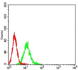 Figure 4:Flow cytometric analysis of K562 cells using CEACAM5 mouse mAb (green) and negative control (red).