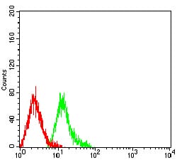 Figure 6:Flow cytometric analysis of HL-60 cells using TRIM29 mouse mAb (green) and negative control (red).