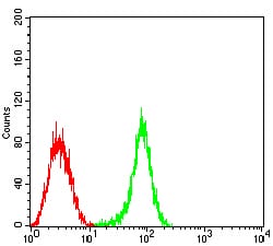 Figure 4:Flow cytometric analysis of HL-60 cells using CD53 mouse mAb (green) and negative control (red).