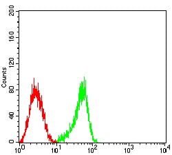 Figure 5:Flow cytometric analysis of HL-60 cells using CD53 mouse mAb (green) and negative control (red).