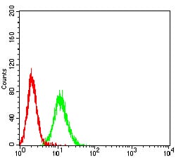 Figure 4:Flow cytometric analysis of K562 cells using PSG1 mouse mAb (green) and negative control (red).