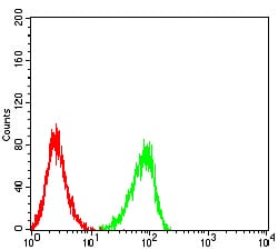 Figure 4:Flow cytometric analysis of HL-60 cells using CD72 mouse mAb (green) and negative control (red).