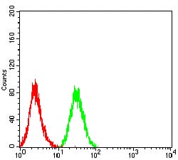 Figure 4:Flow cytometric analysis of HL-60 cells using CD72 mouse mAb (green) and negative control (red).