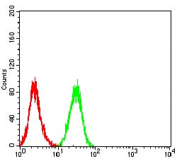 Figure 5:Flow cytometric analysis of HL-60 cells using CD11a mouse mAb (green) and negative control (red).