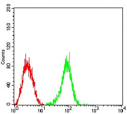 Figure 4:Flow cytometric analysis of HL-60 cells using FCGRT mouse mAb (green) and negative control (red).