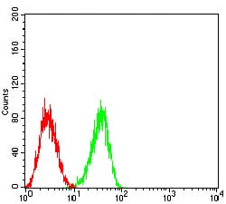 Figure 4:Flow cytometric analysis of HL-60 cells using CD353 mouse mAb (green) and negative control (red).