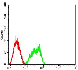 Figure 4:Flow cytometric analysis of HL-60 cells using BCL10 mouse mAb (green) and negative control (red).