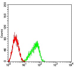 Figure 4:Flow cytometric analysis of HL-60 cells using CD351 mouse mAb (green) and negative control (red).