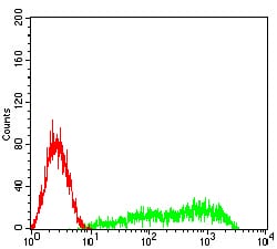 Figure 5:Flow cytometric analysis of HL-60 cells using CLL1 mouse mAb (green) and negative control (red).