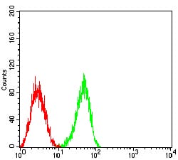Figure 4:Flow cytometric analysis of HL-60 cells using CD148 mouse mAb (green) and negative control (red).