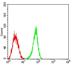 Figure 4:Flow cytometric analysis of HL-60 cells using CD363 mouse mAb (green) and negative control (red).