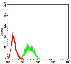 Figure 4:Flow cytometric analysis of HL-60 cells using CD352 mouse mAb (green) and negative control (red).