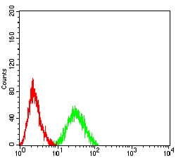 Figure 4:Flow cytometric analysis of HL-60 cells using CD339 mouse mAb (green) and negative control (red).