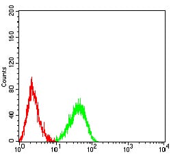 Figure 5:Flow cytometric analysis of HL-60 cells using CD339 mouse mAb (green) and negative control (red).