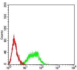 Figure 4:Flow cytometric analysis of HL-60 cells using CD336 mouse mAb (green) and negative control (red).