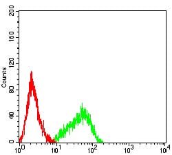 Figure 5:Flow cytometric analysis of HL-60 cells using CD120B mouse mAb (green) and negative control (red).