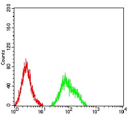 Figure 4:Flow cytometric analysis of Ramos cells using CD120B mouse mAb (green) and negative control (red).