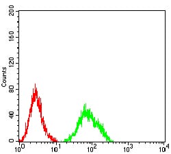 Figure 4:Flow cytometric analysis of Ramos cells using CD182 mouse mAb (green) and negative control (red).