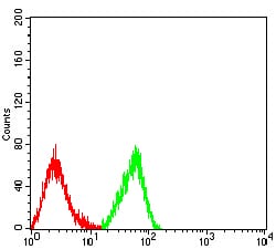 Figure 4:Flow cytometric analysis of HL-60 cells using CD344 mouse mAb (green) and negative control (red).