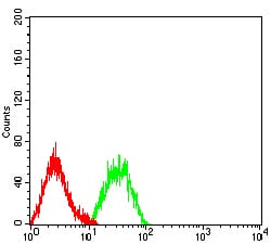 Figure 3:Flow cytometric analysis of HL-60 cells using B7H4 mouse mAb (green) and negative control (red).