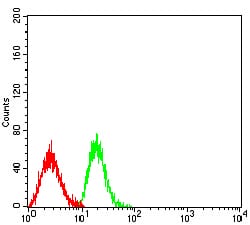 Figure 4:Flow cytometric analysis of HL-60 cells using CD370 mouse mAb (green) and negative control (red).