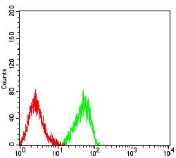 Figure 4:Flow cytometric analysis of HL-60 cells using CD158D mouse mAb (green) and negative control (red).