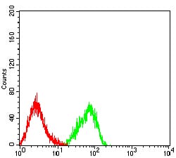 Figure 4:Flow cytometric analysis of HL-60 cells using CD158D mouse mAb (green) and negative control (red).