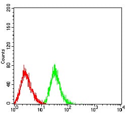 Figure 4:Flow cytometric analysis of HL-60 cells using CD43 mouse mAb (green) and negative control (red).