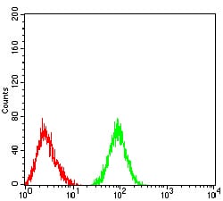Figure 5:Flow cytometric analysis of HL-60 cells using CD177 mouse mAb (green) and negative control (red).