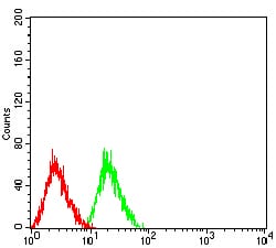 Figure 4:Flow cytometric analysis of HL-60 cells using CD177 mouse mAb (green) and negative control (red).