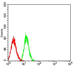 Figure 4:Flow cytometric analysis of HL-60 cells using CD49E mouse mAb (green) and negative control (red).