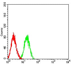 Figure 4:Flow cytometric analysis of HL-60 cells using LRP1B mouse mAb (green) and negative control (red).