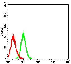Figure 4:Flow cytometric analysis of HL-60 cells using CD172G mouse mAb (green) and negative control (red).
