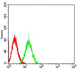 Figure 5:Flow cytometric analysis of HL-60 cells using CD172G mouse mAb (green) and negative control (red).