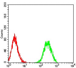 Figure 5:Flow cytometric analysis of HL-60 cells using CD156 mouse mAb (green) and negative control (red).