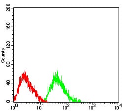 Figure 4:Flow cytometric analysis of HL-60 cells using CD125 mouse mAb (green) and negative control (red).