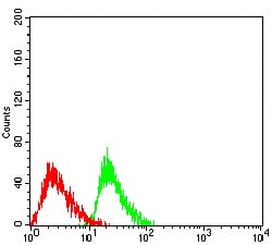 Figure 5:Flow cytometric analysis of HL-60 cells using ATXN1 mouse mAb (green) and negative control (red).