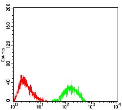 Figure 5:Flow cytometric analysis of Jurkat cells using ATXN1 mouse mAb (green) and negative control (red).