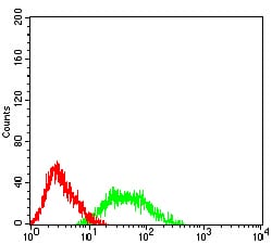 Figure 4:Flow cytometric analysis of HL-60 cells using CD192 mouse mAb (green) and negative control (red).