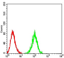 Figure 4:Flow cytometric analysis of HL-60 cells using CD217 mouse mAb (green) and negative control (red).