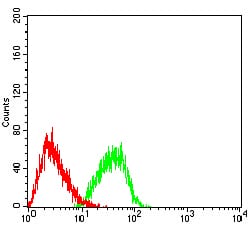 Figure 6:Flow cytometric analysis of HL-60 cells using EHMT2 mouse mAb (green) and negative control (red).