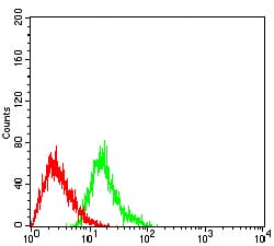 Figure 4:Flow cytometric analysis of HL-60 cells using EHMT2 mouse mAb (green) and negative control (red).