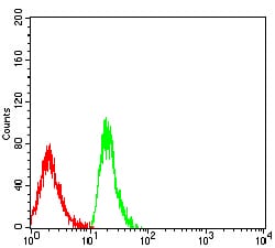 Figure 4:Flow cytometric analysis of MOLT4 cells using CD179A mouse mAb (green) and negative control (red).