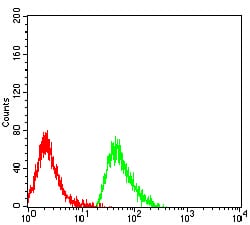 Figure 4:Flow cytometric analysis of MOLT4 cells using CD368 mouse mAb (green) and negative control (red).