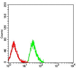 Figure 4:Flow cytometric analysis of MOLT4 cells using EDA2R mouse mAb (green) and negative control (red).