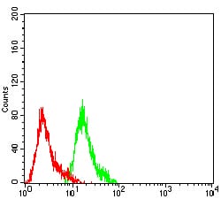 Figure 4:Flow cytometric analysis of Hela cells using NFKB2 mouse mAb (green) and negative control (red).