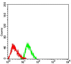 Figure 4:Flow cytometric analysis of Jurkat cells using RBFOX2 mouse mAb (green) and negative control (red).