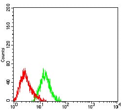 Figure 4:Flow cytometric analysis of HL-60 cells using CD232 mouse mAb (green) and negative control (red).