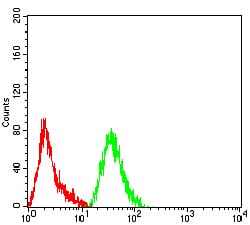 Figure 6:Flow cytometric analysis of Hela cells using PCK2 mouse mAb (green) and negative control (red).