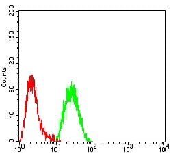 Figure 5:Flow cytometric analysis of Hela cells using EZH1 mouse mAb (green) and negative control (red).